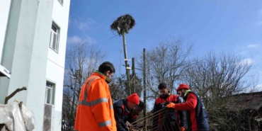 Leylek yuvasına güvenli dokunuş