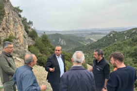 Bakanlık müfettişleri barınakta incelemelerde bulundu