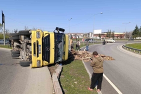 Kontrolden çıkan kamyon devrildi, sürücüsü yaralandı