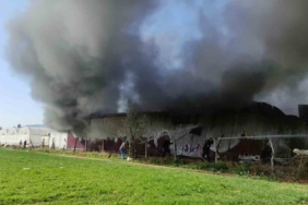 Gül serası alevlere teslim oldu