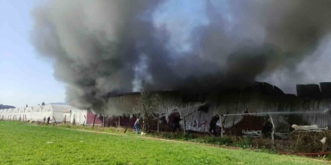 Gül serası alevlere teslim oldu