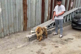 Gebze’de hurdalık alanda yangın: Gökyüzü siyaha büründü