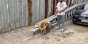 Gebze’de hurdalık alanda yangın: Gökyüzü siyaha büründü
