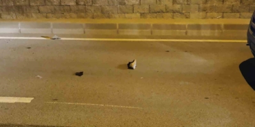 Bursa’da yolun karşısına geçen 2 kişiye hafif ticari araç çarptı: 2 yaralı