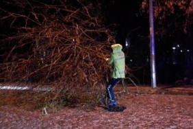Trafik polisleri yola devrilen ağaç için seferber oldu