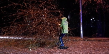 Trafik polisleri yola devrilen ağaç için seferber oldu