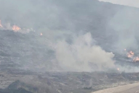 Avşa Adası’nda çıkan yangın kontrol altına alındı