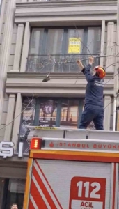 Kağıthane’de ağaçta mahsur kalan kuşu itfaiye kurtardı