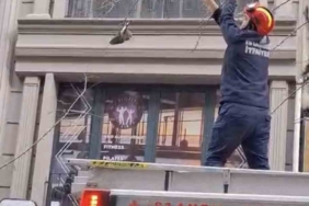 Kağıthane’de ağaçta mahsur kalan kuşu itfaiye kurtardı