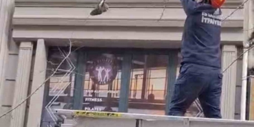 Kağıthane’de ağaçta mahsur kalan kuşu itfaiye kurtardı