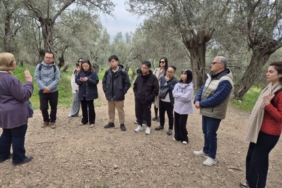 Çinli turizm temsilcileri Antandros Antik Kenti’ne ziyaret
