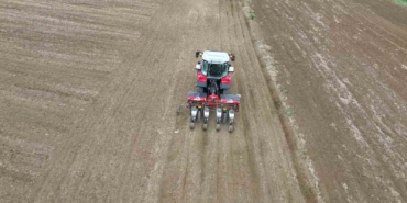 Türkiye’nin ayçiçeği ambarında ekim vakti