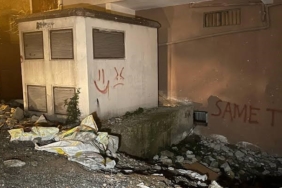 Arsada 6 aylık cenin bulunmuştu: Anne adli kontrolle serbest bırakıldı