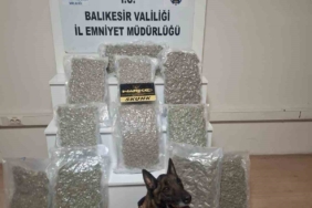 Balıkesir’de 12 kilo esrar ele geçirildi
