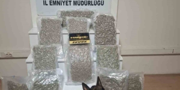 Balıkesir’de 12 kilo esrar ele geçirildi