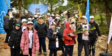 Yalova’da yanan 25 dönümlük orman alanı ağaçlandırıldı