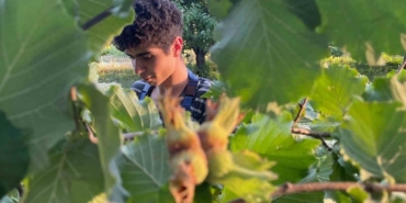 Türkiye’nin fındık ihracatının yarısı Almanya ve İtalya’ya yönelik yapıldı