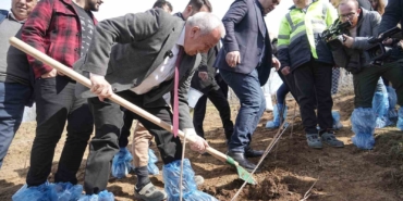 Çiftçiye destek için 6 dekarlık alana ahududu dikildi