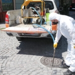 Zeytinburnu Belediyesi’nden sivrisinek sorununa erken müdahale