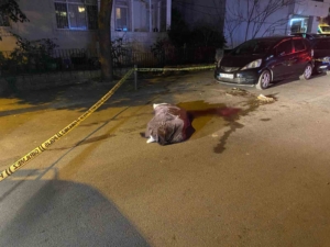 Kadıköy’de çöp kamyonunun altında kalan yaşlı kadın hayatını kaybetti