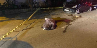 Kadıköy’de çöp kamyonunun altında kalan yaşlı kadın hayatını kaybetti