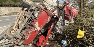 Ağaçları devirip yan yatan kamyonet kağıt gibi ezildi: 2 yaralı