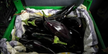 İstanbul’da patlıcan fiyatlarında dalgalanma: Yüzde 100’e yakın yükselen fiyatlar düşüşe geçti