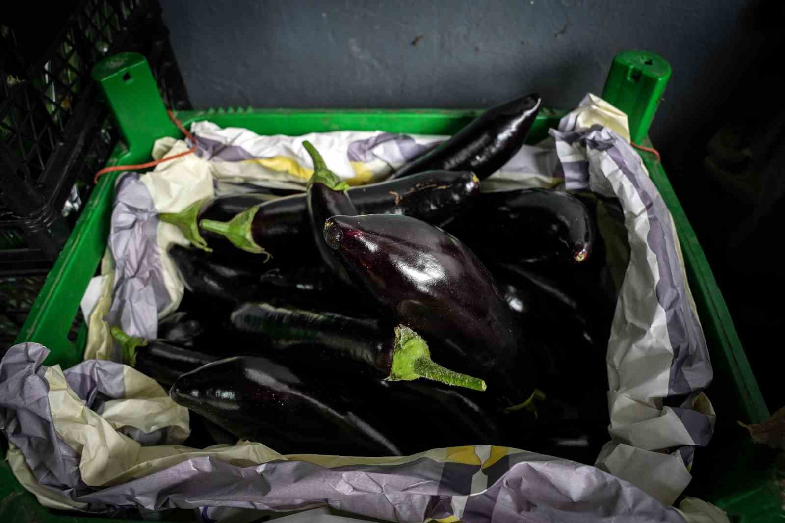 İstanbul’da patlıcan fiyatlarında dalgalanma: Yüzde 100’e yakın yükselen fiyatlar düşüşe geçti