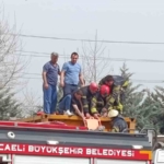 Temizlik yaparken kimyasal tankerinin içine düştü, ağır yaralandı