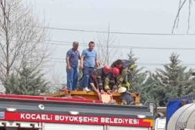 Temizlik yaparken kimyasal tankerinin içine düştü, ağır yaralandı