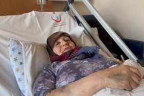 Başıboş köpekler 66 yaşındaki kadını yaraladı