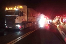 Tomruk yüklü tırın balataları alev aldı: Vatandaş yangını spiker gibi anlattı