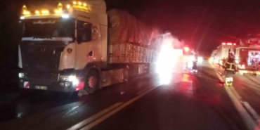 Tomruk yüklü tırın balataları alev aldı: Vatandaş yangını spiker gibi anlattı