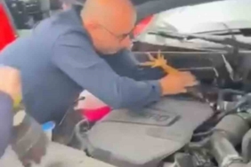 Araç motoruna bu kez kedi değil, horoz girdi
