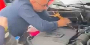 Araç motoruna bu kez kedi değil, horoz girdi