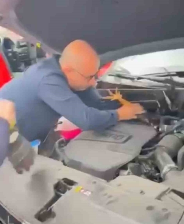 Araç motoruna bu kez kedi değil, horoz girdi