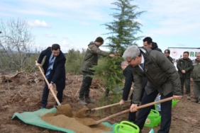 Denetimli serbestlik yükümlüleri fidan dikti