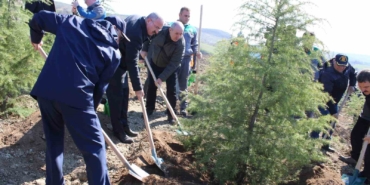 Dünya Ormancılık Günü’nde Çanakkale’de 4 bin fidan toprakla buluştu