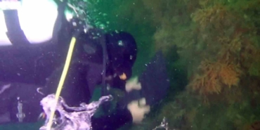 Marmara’da müsilaj tehlikesi devam ediyor