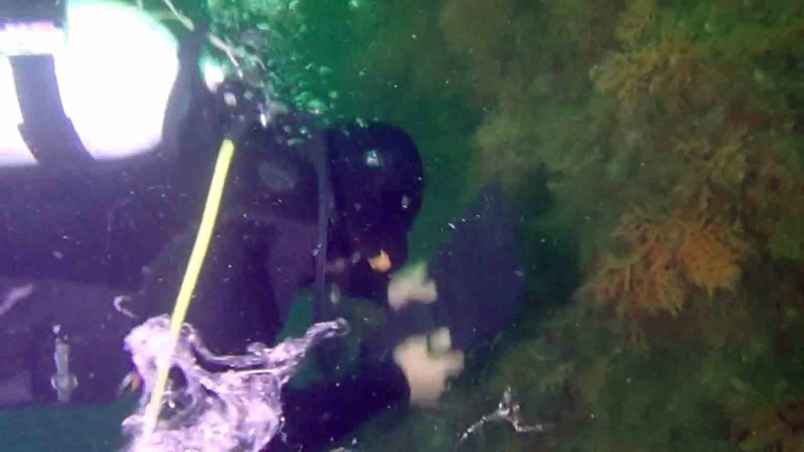 Marmara’da müsilaj tehlikesi devam ediyor