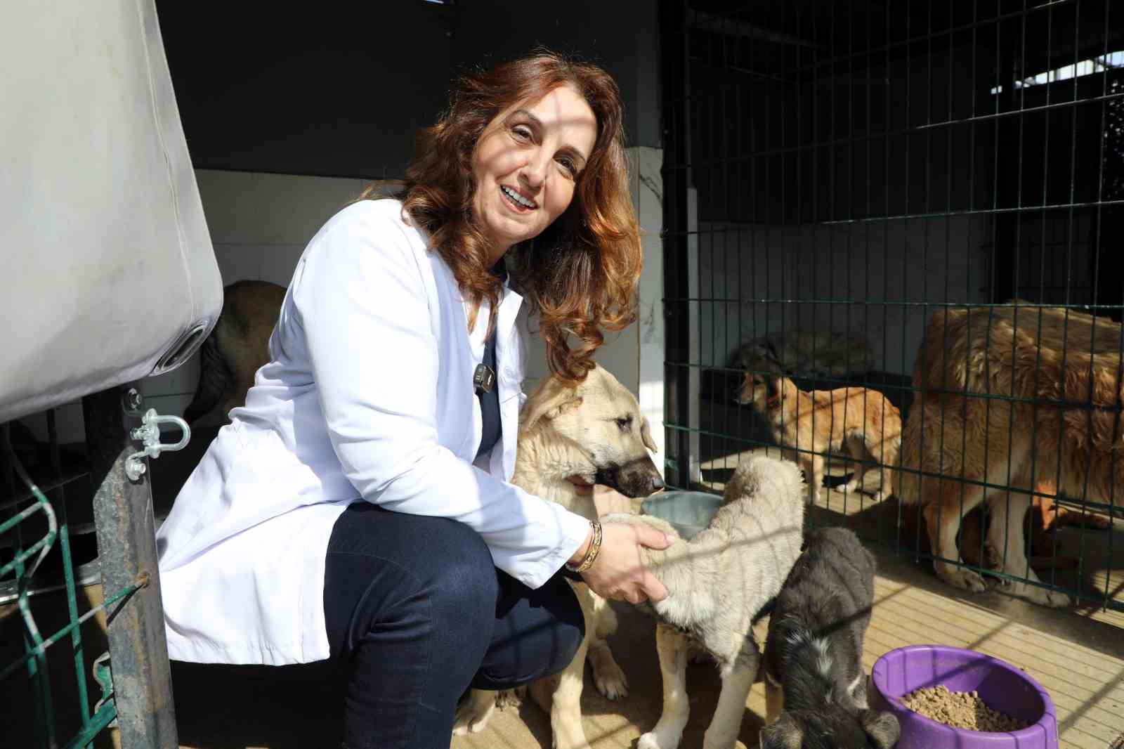 Mudanya’da can dostların maması belediyeden