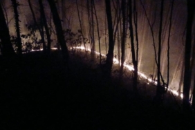 Ormanlık alan alev alev yandı: 6 dönüm arazi zarar gördü