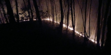 Ormanlık alan alev alev yandı: 6 dönüm arazi zarar gördü