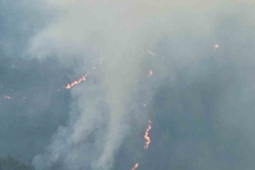 Balıkesir’de orman yangınına müdahale sürüyor