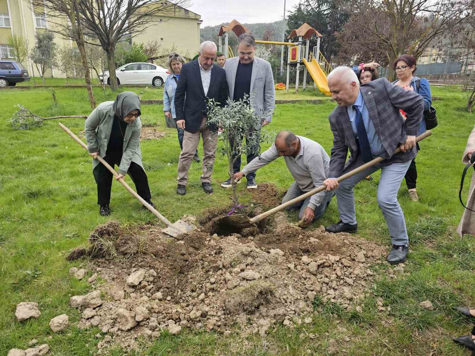 Gölcük’te zeytin ağaçları toprakla buluştu