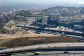 Şehir hastanesi bağlantı yoluna 200 Himalaya sediri dikildi