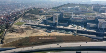 Şehir hastanesi bağlantı yoluna 200 Himalaya sediri dikildi