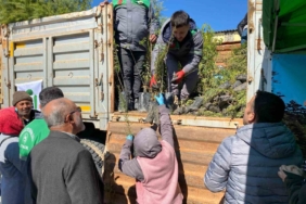 Ayvacık’ta 3 bin fidan dağıtıldı