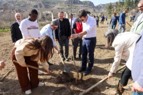 Üniversite öğrencileriyle birlikte fidan dikti