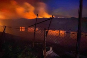 Bilecik’te tavuk çiftliğinde korkutan yangın